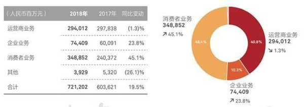 华为2018年报